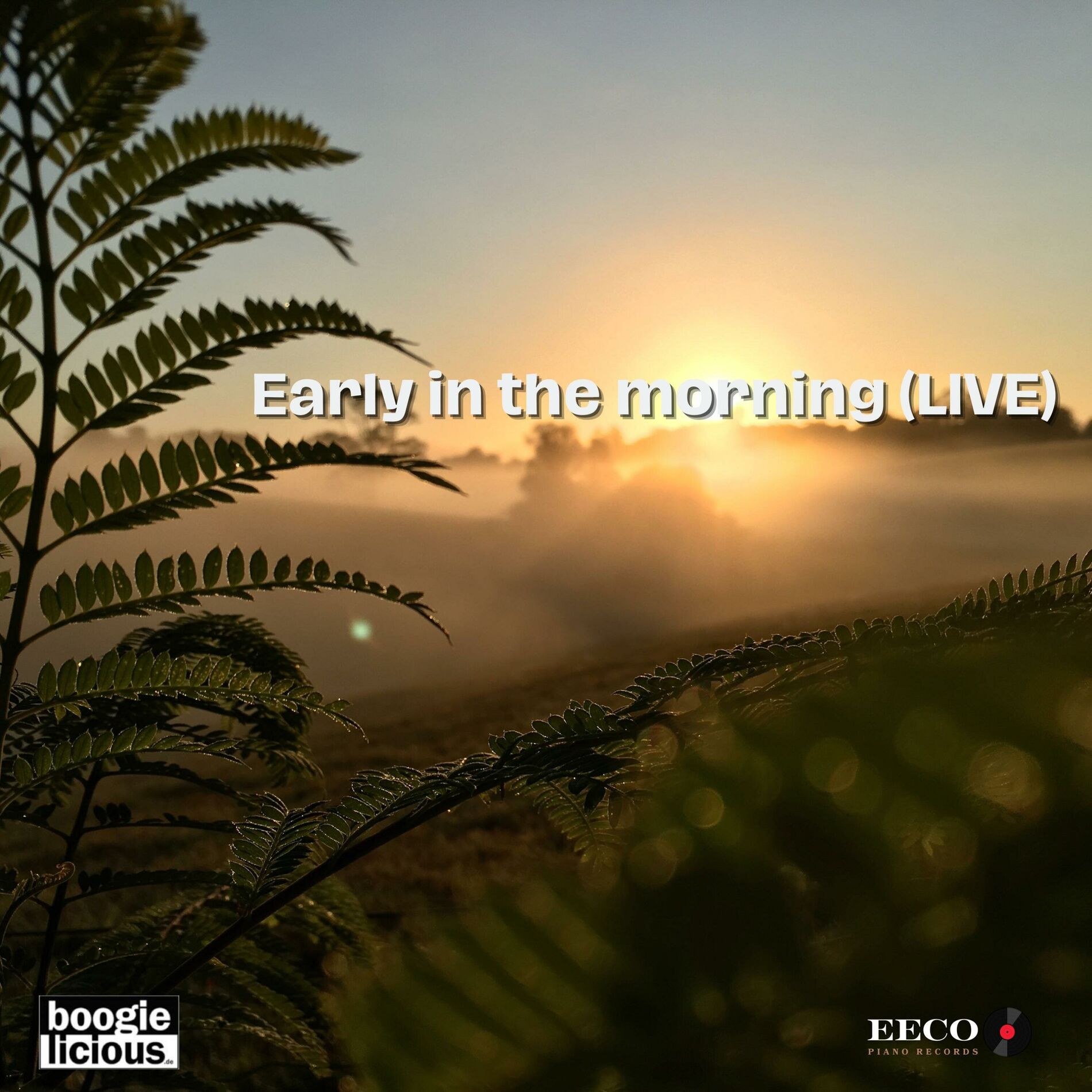 Album cover of Early in the morning (feat. David Herzel & Bertram Becher) [Live]