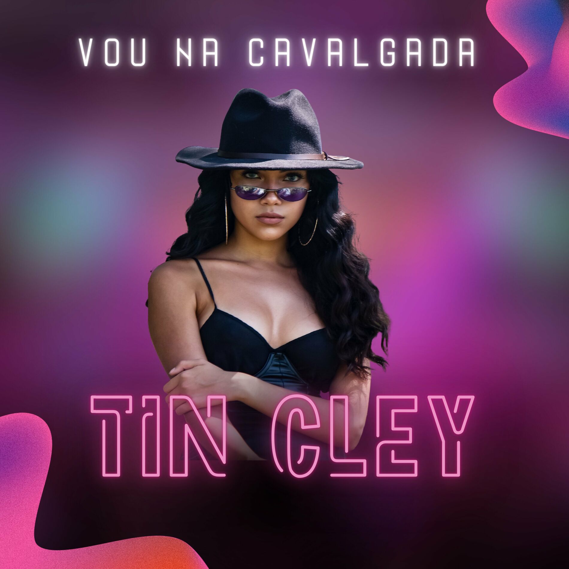 Album cover of Vou na Cavalgada