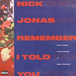 Cover of Remember I Told You