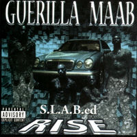 アニメ guerilla Maab IN THE MIST OF GUERILLA SEALED --- Guerilla Maab 3D2 – In The Mist Of Guerillas