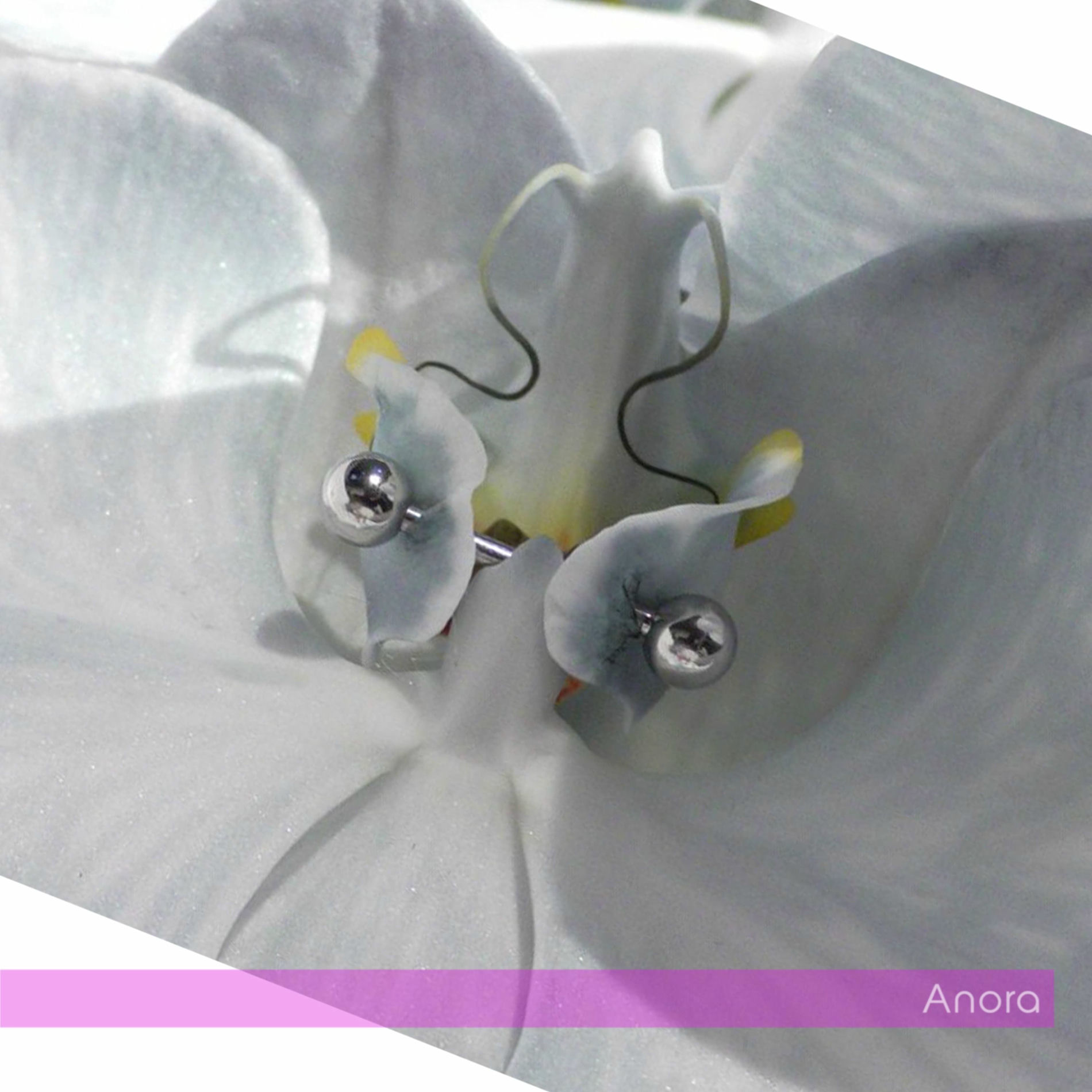Album cover of Anora