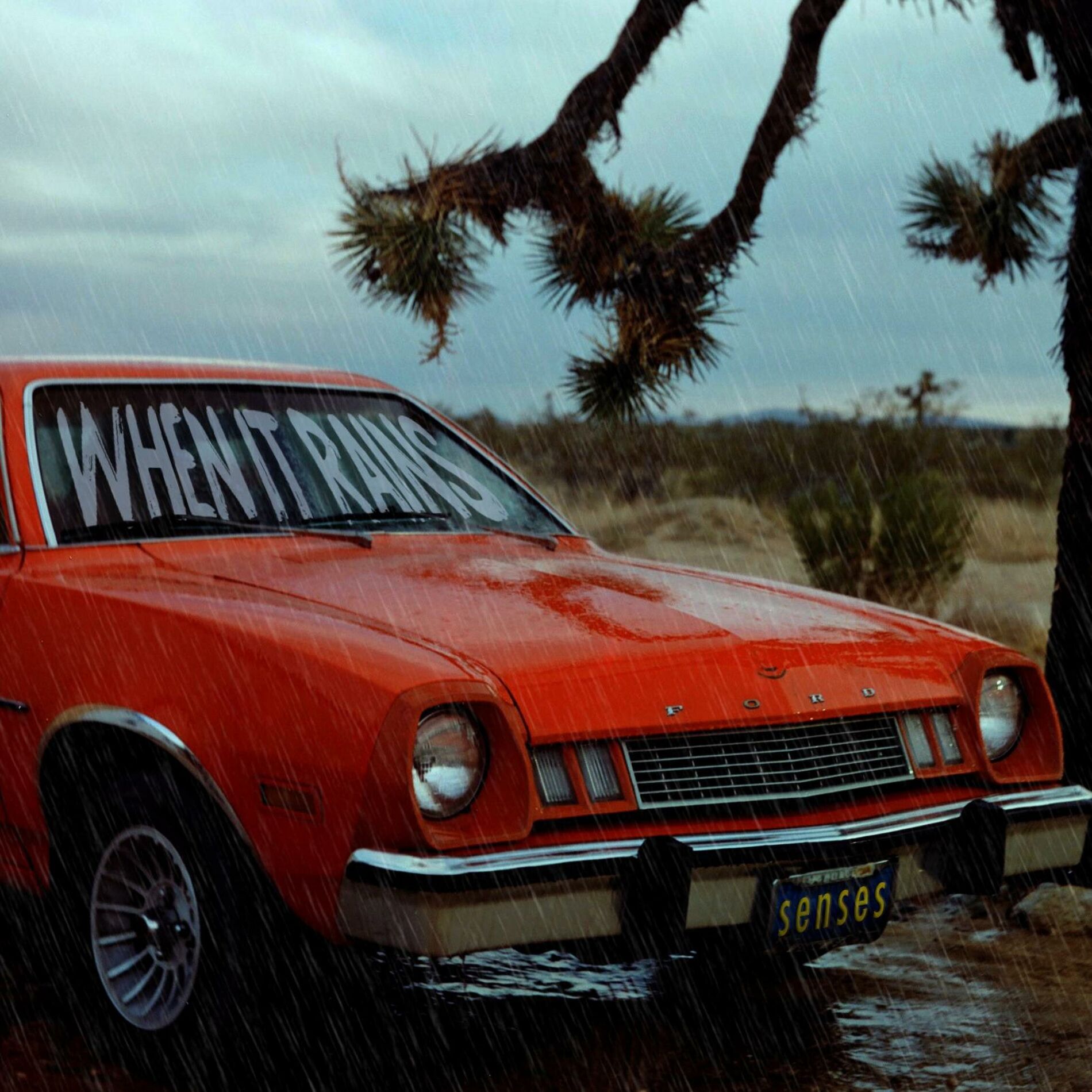 Album cover of When It Rains