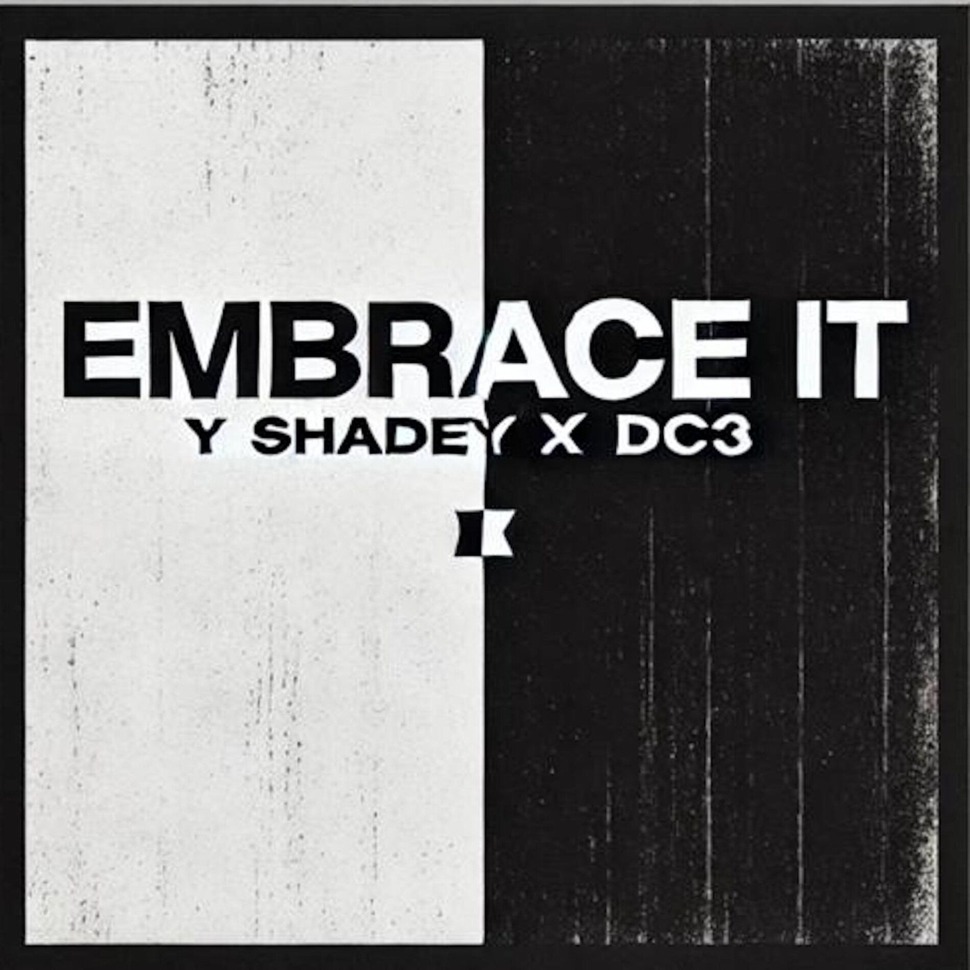 Album cover of Embrace It