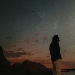 Cover of If You Had to Ask