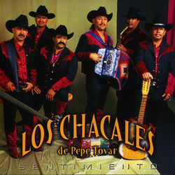Cover of Sentimiento