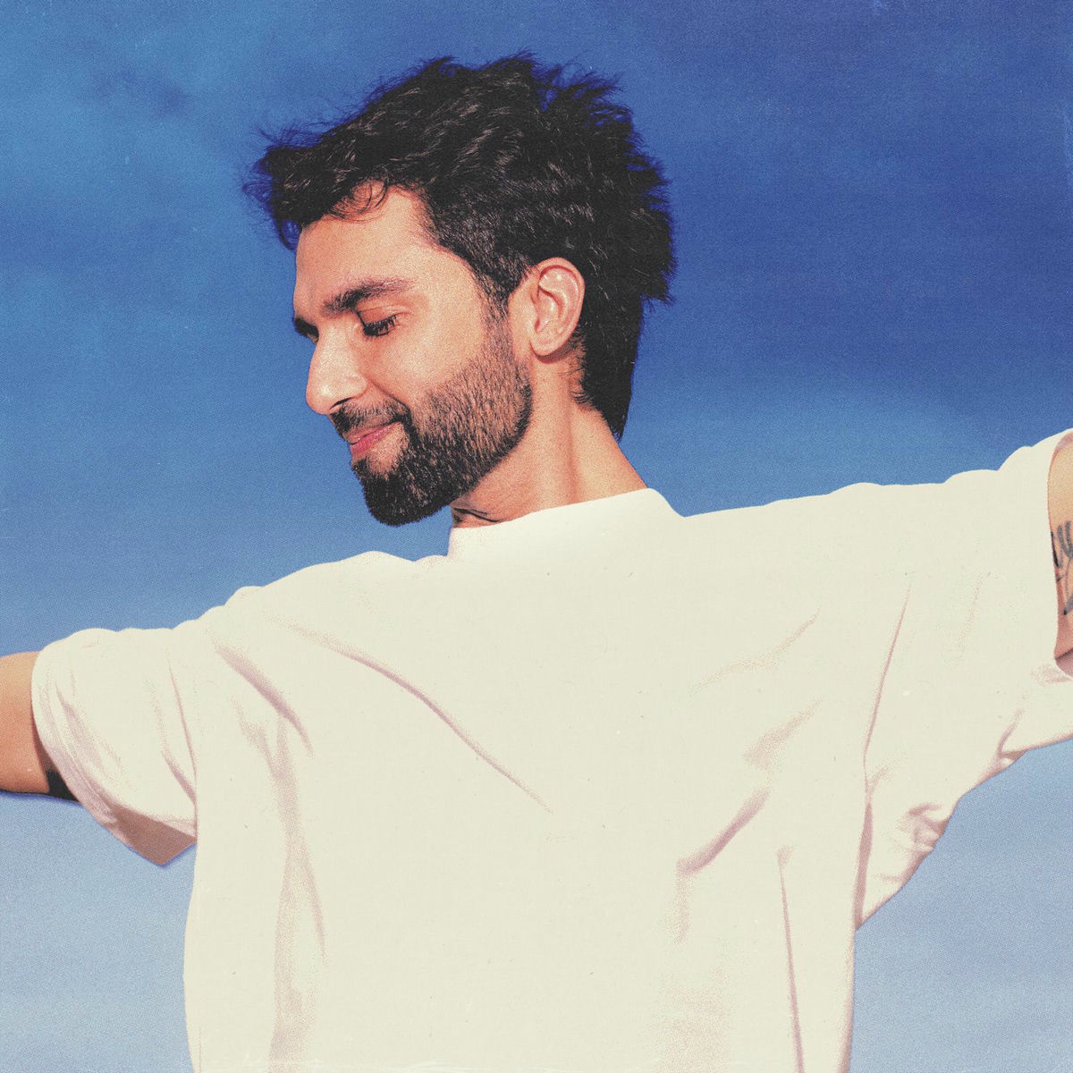 Album cover of Virá