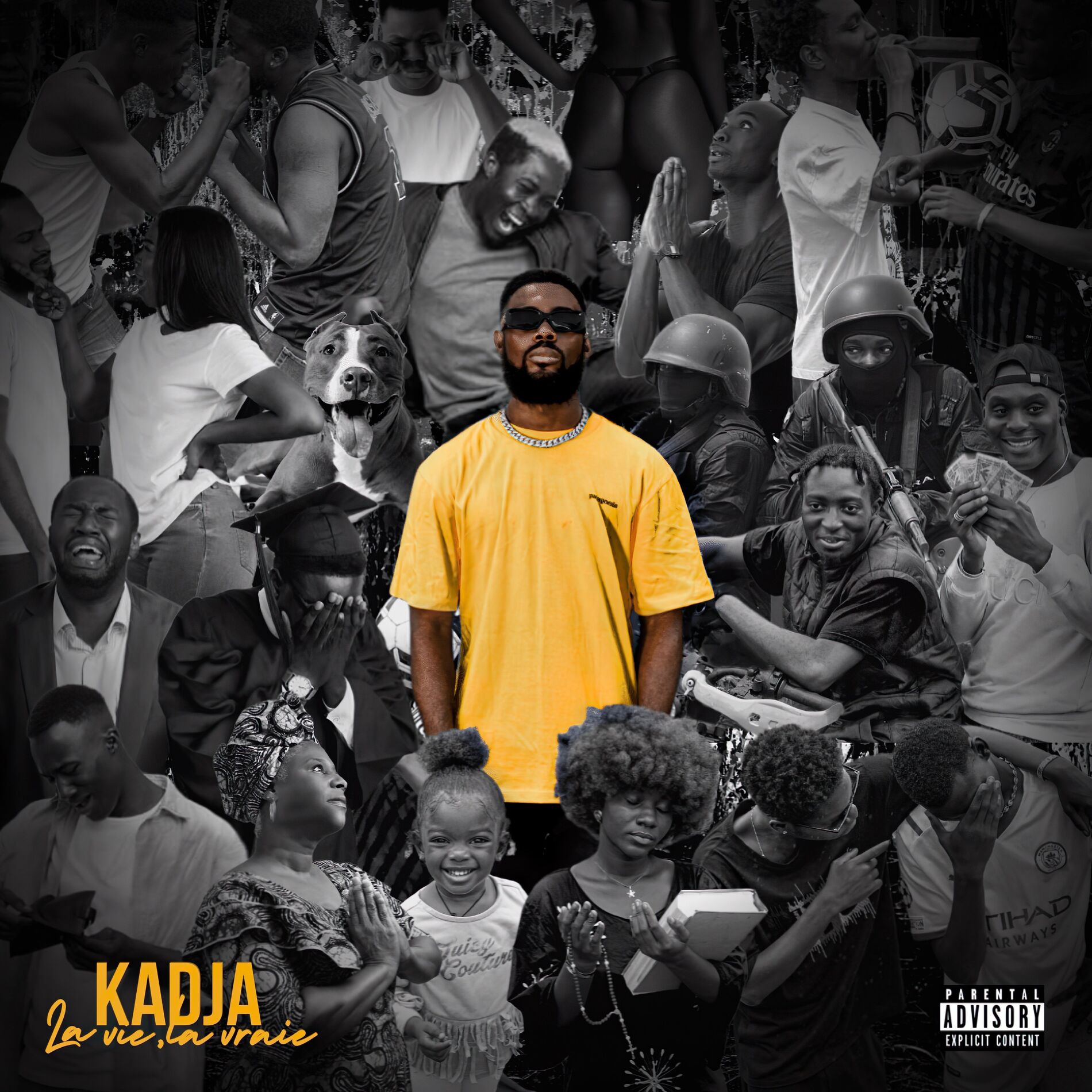 Album cover of La vie la vraie