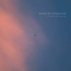 Cover of What If I Told You