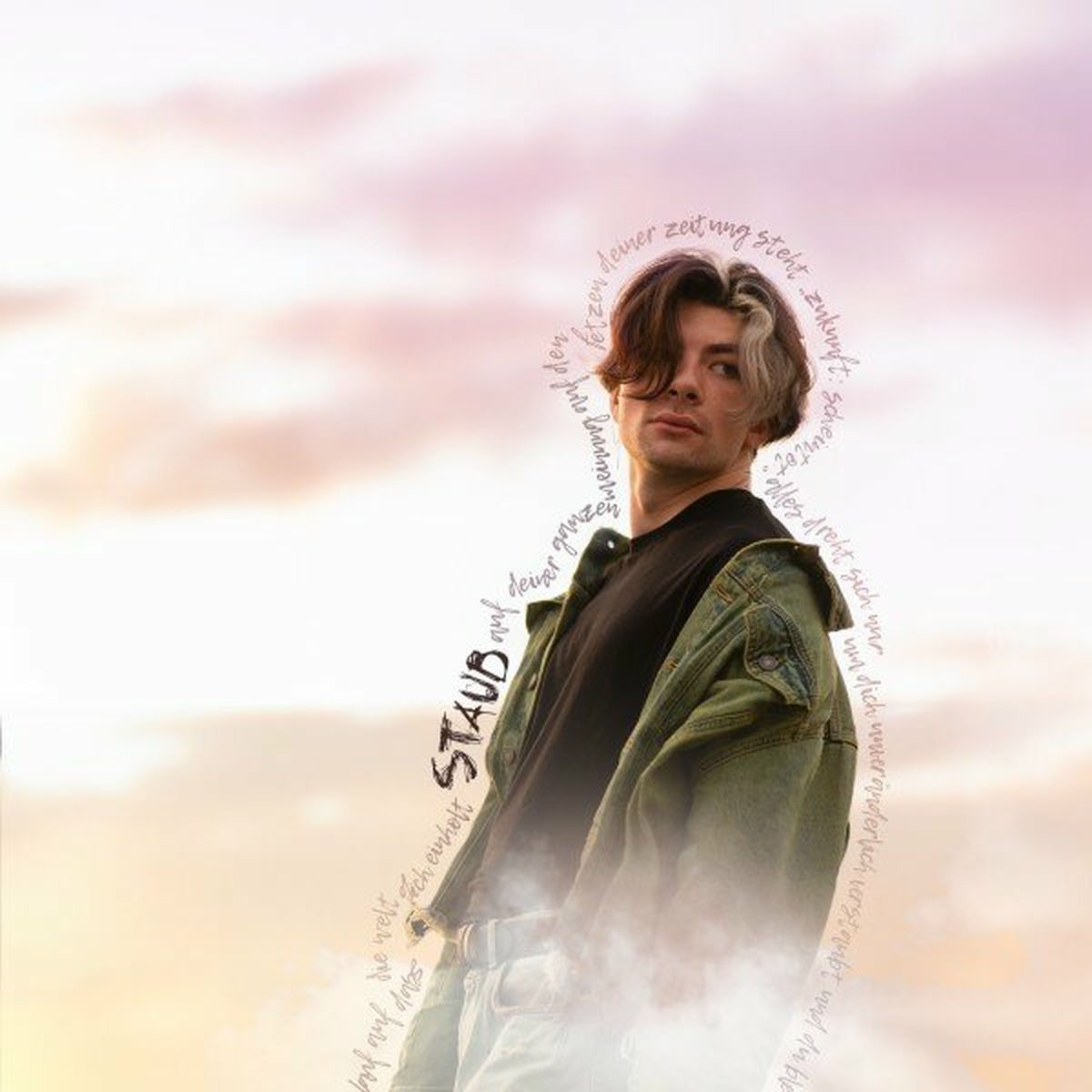 Album cover of Staub