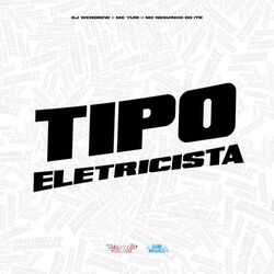Cover of Tipo Eletricista