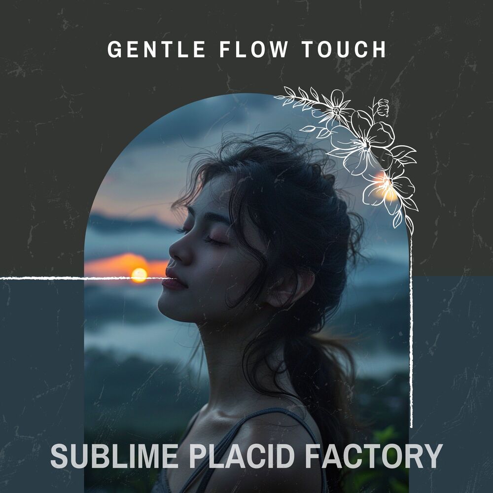 Picture of Gentle Flow Touch