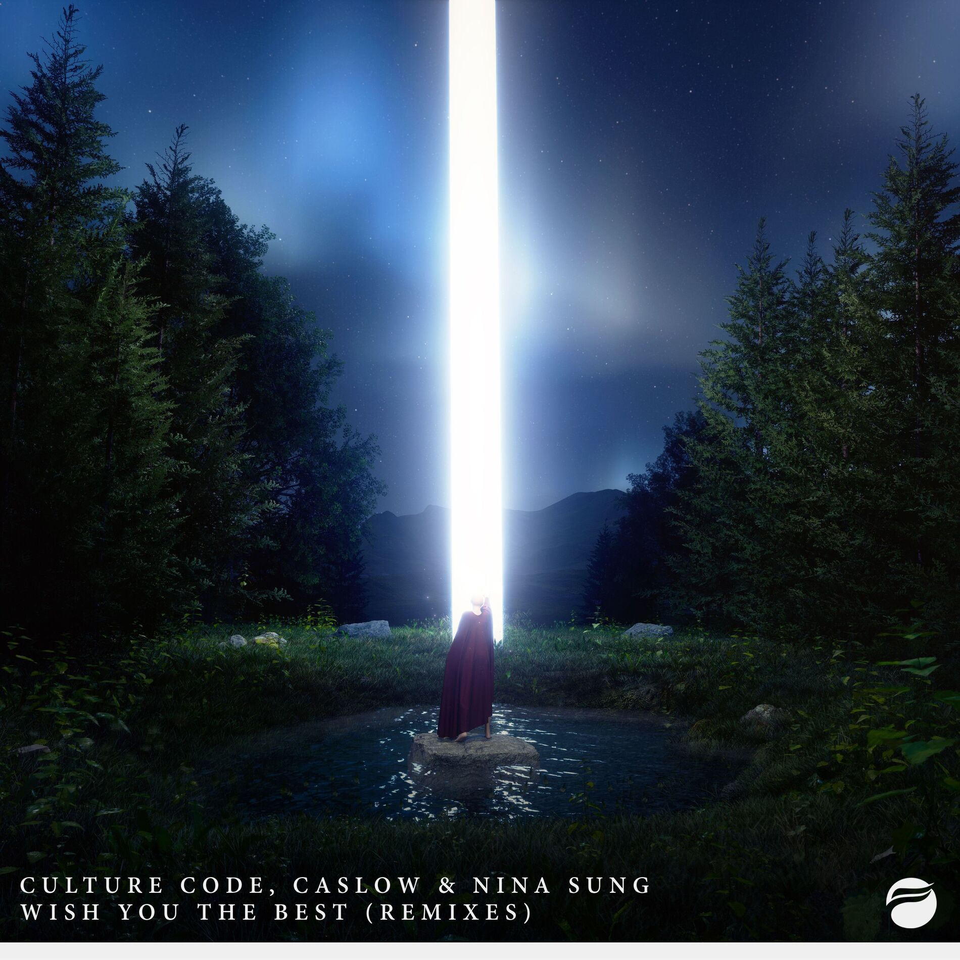 Album cover of Wish You The Best (Remixes)