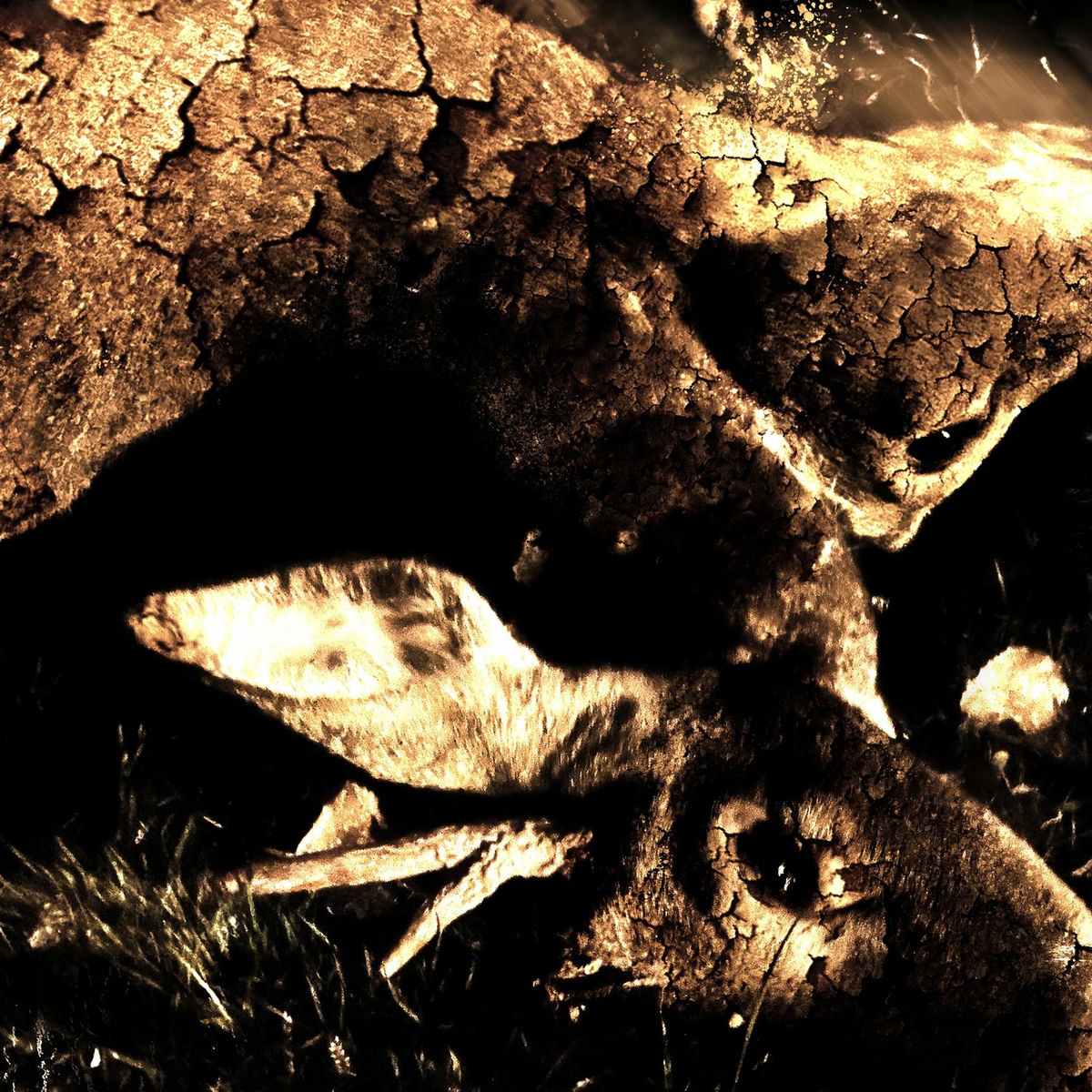 Album cover of Wavery