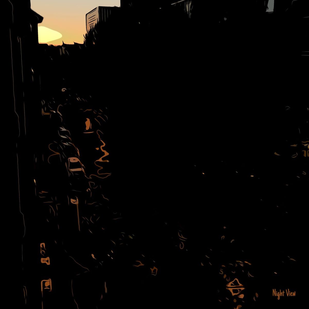 Album cover of Night View