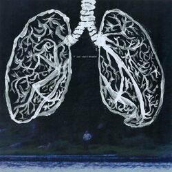 Cover of if jodi could breathe