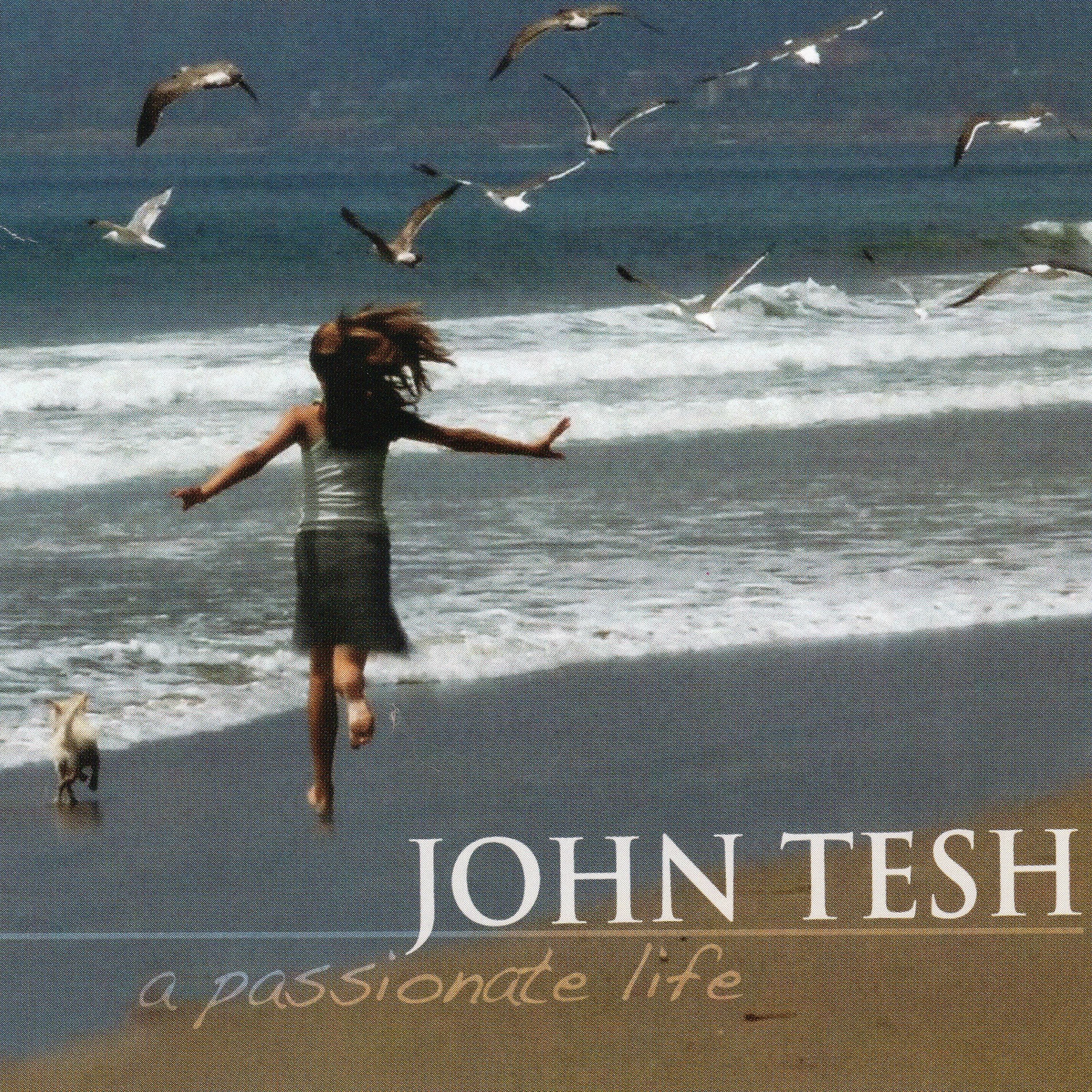 Album cover of A Passionate Life