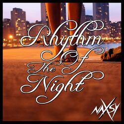 Cover of Rhythm of the Night