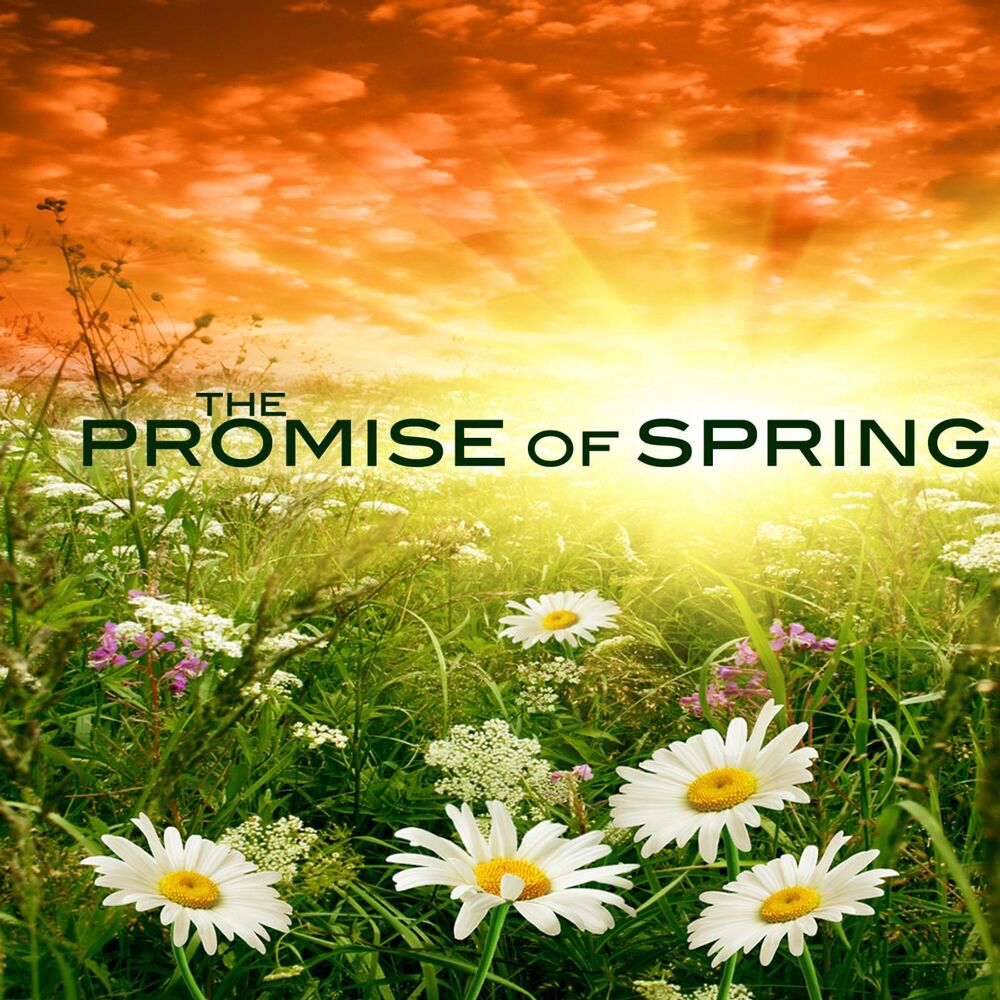 Picture of The Promise of Spring