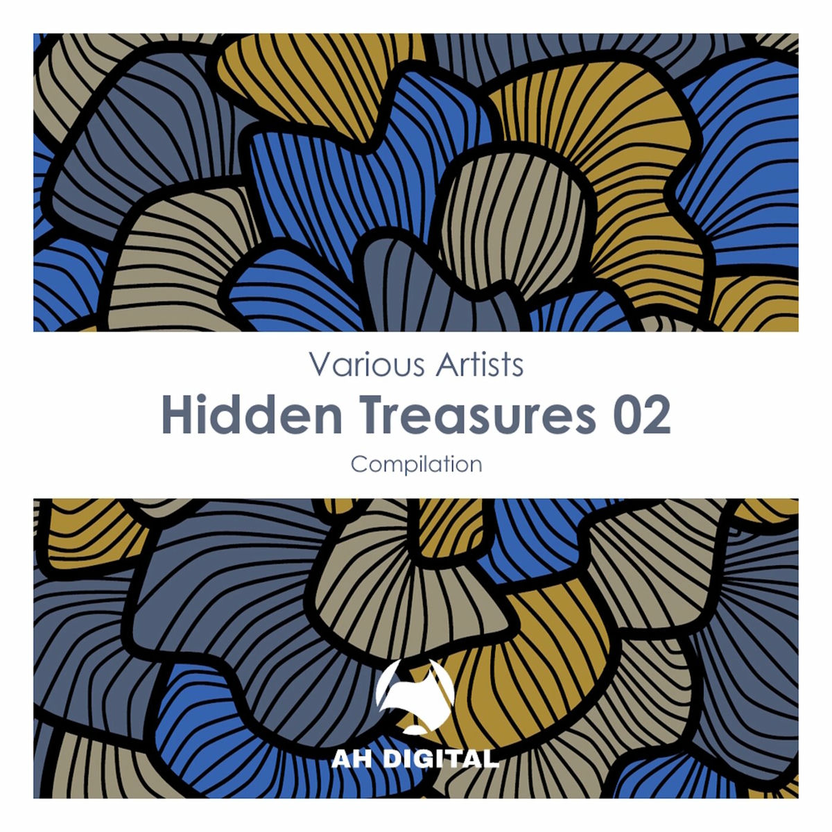 Album cover of Hidden Treasures 02
