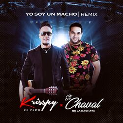Cover of Yo Soy Un Macho (Remix)