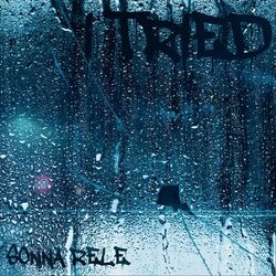 Cover of I Tried