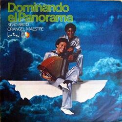Cover of Dominando El Panorama
