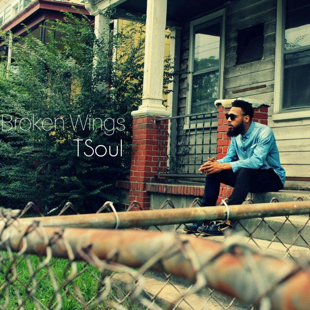 Picture of Broken Wings