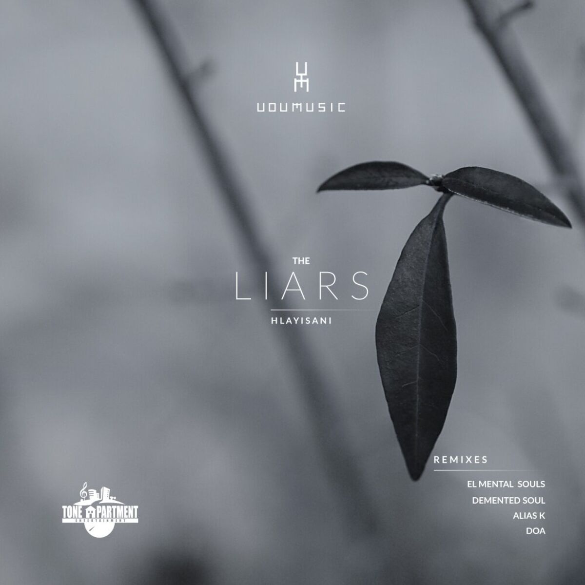 Album cover of The Liars