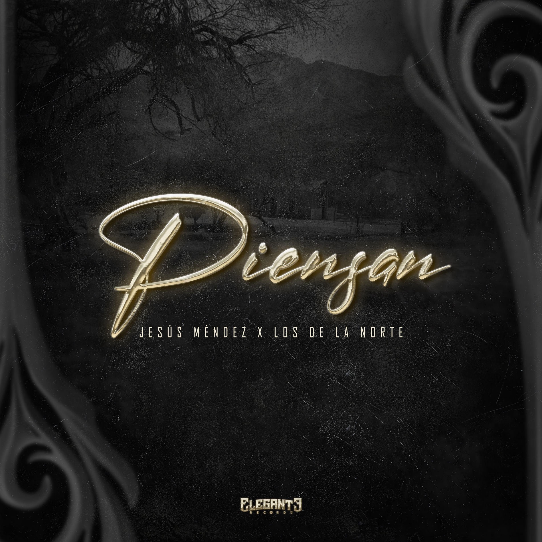 Album cover of Piensan