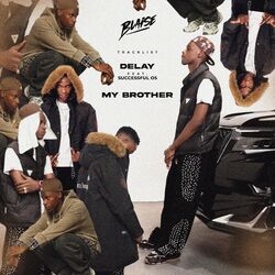 Cover of Delay