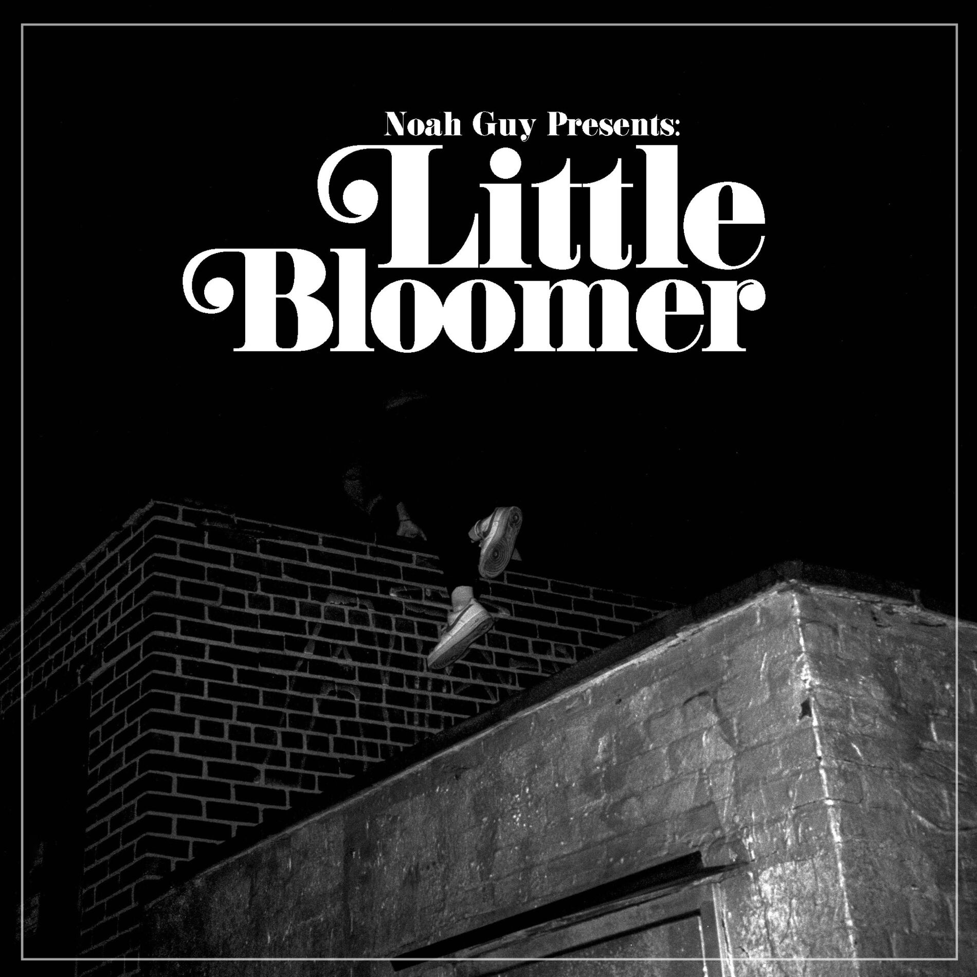 Album cover of Little Bloomer