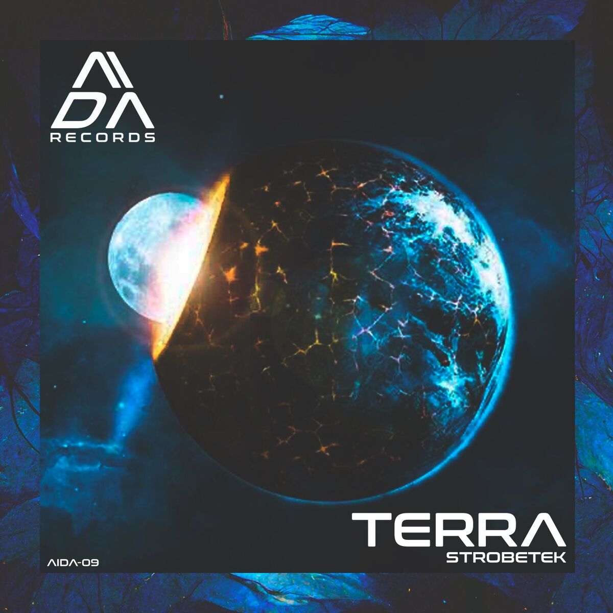 Album cover of Terra