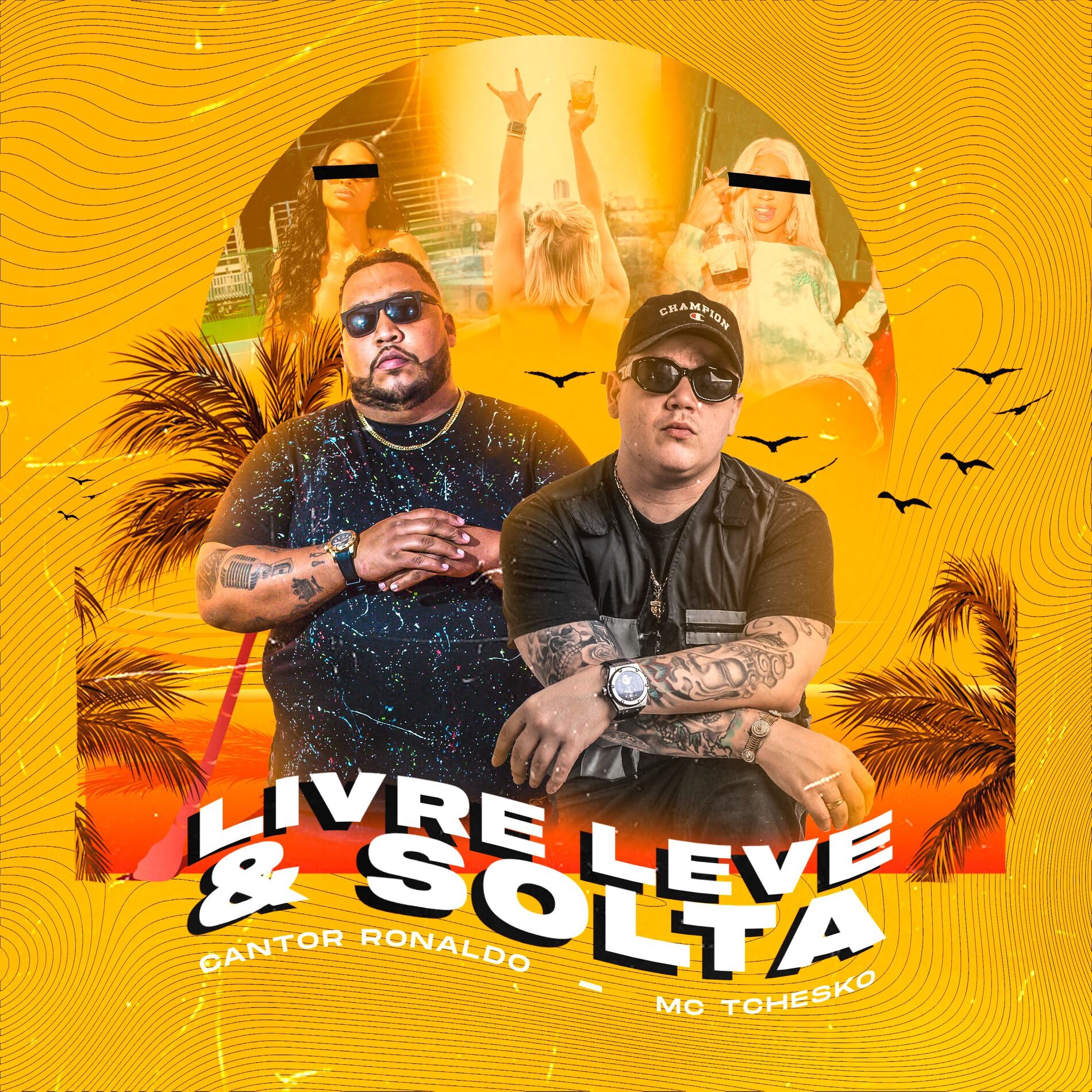 Album cover of Livre, Leve e Solta