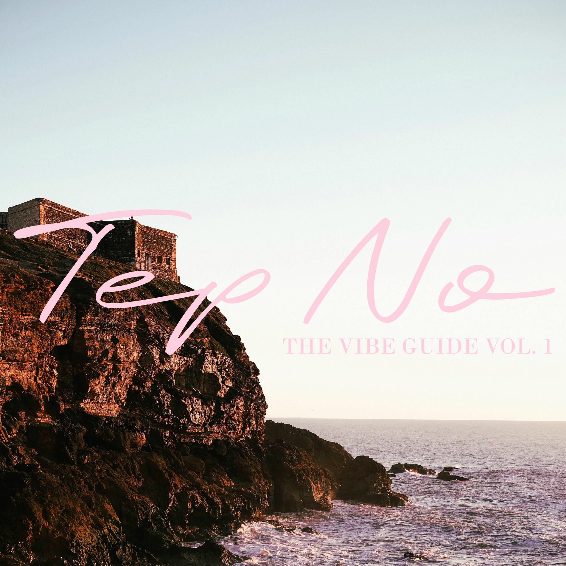 Album cover of The Vibe Guide, Vol. 1