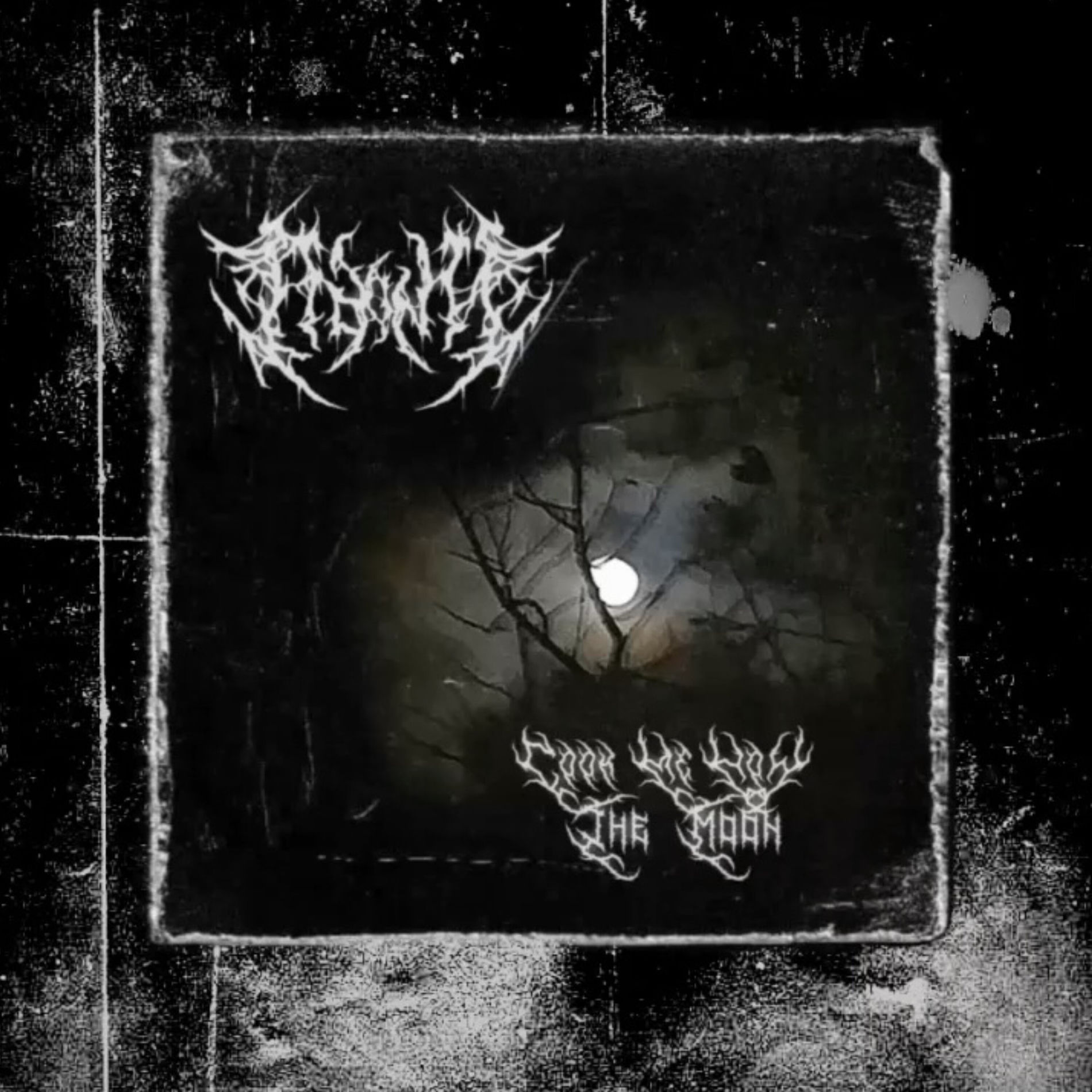 AGONY: albums, songs, concerts | Deezer