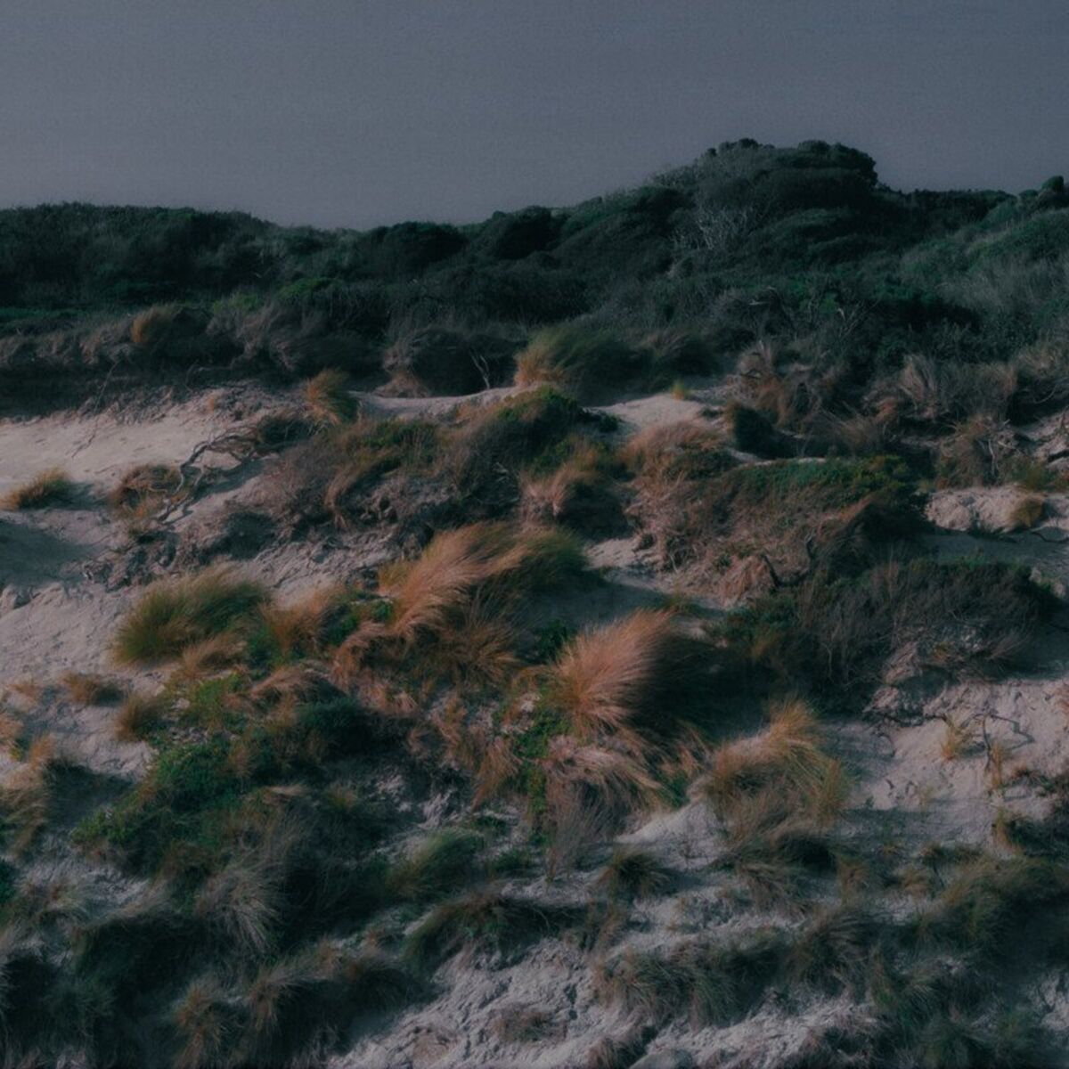 Album cover of Riptide