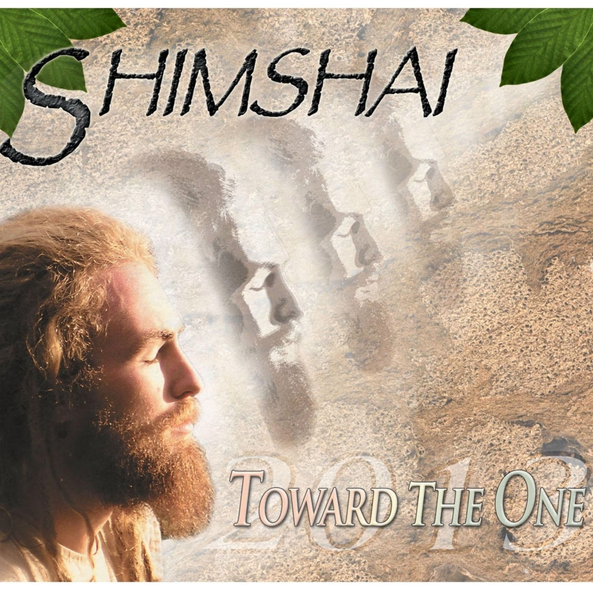 Album cover of Toward the One (2013)