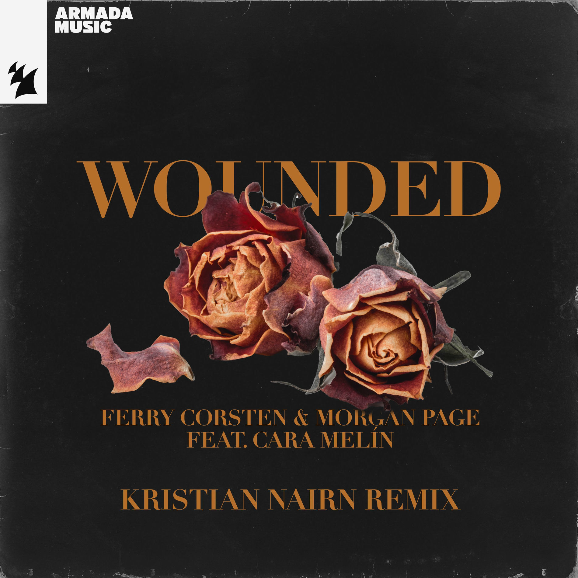 Album cover of Wounded