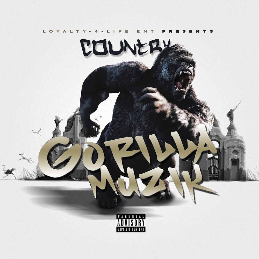 Picture of Gorilla Muzik