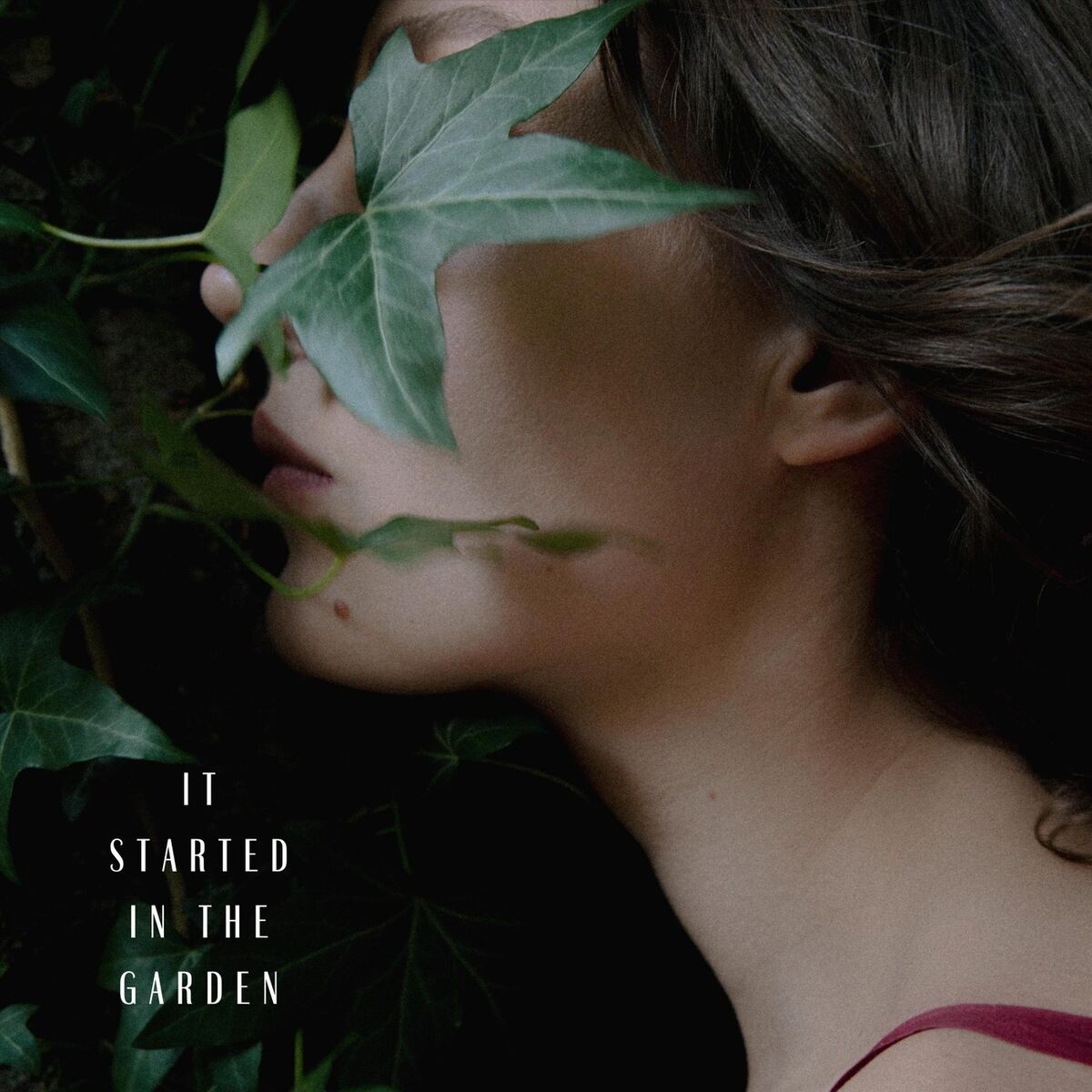 Album cover of It Started in the Garden