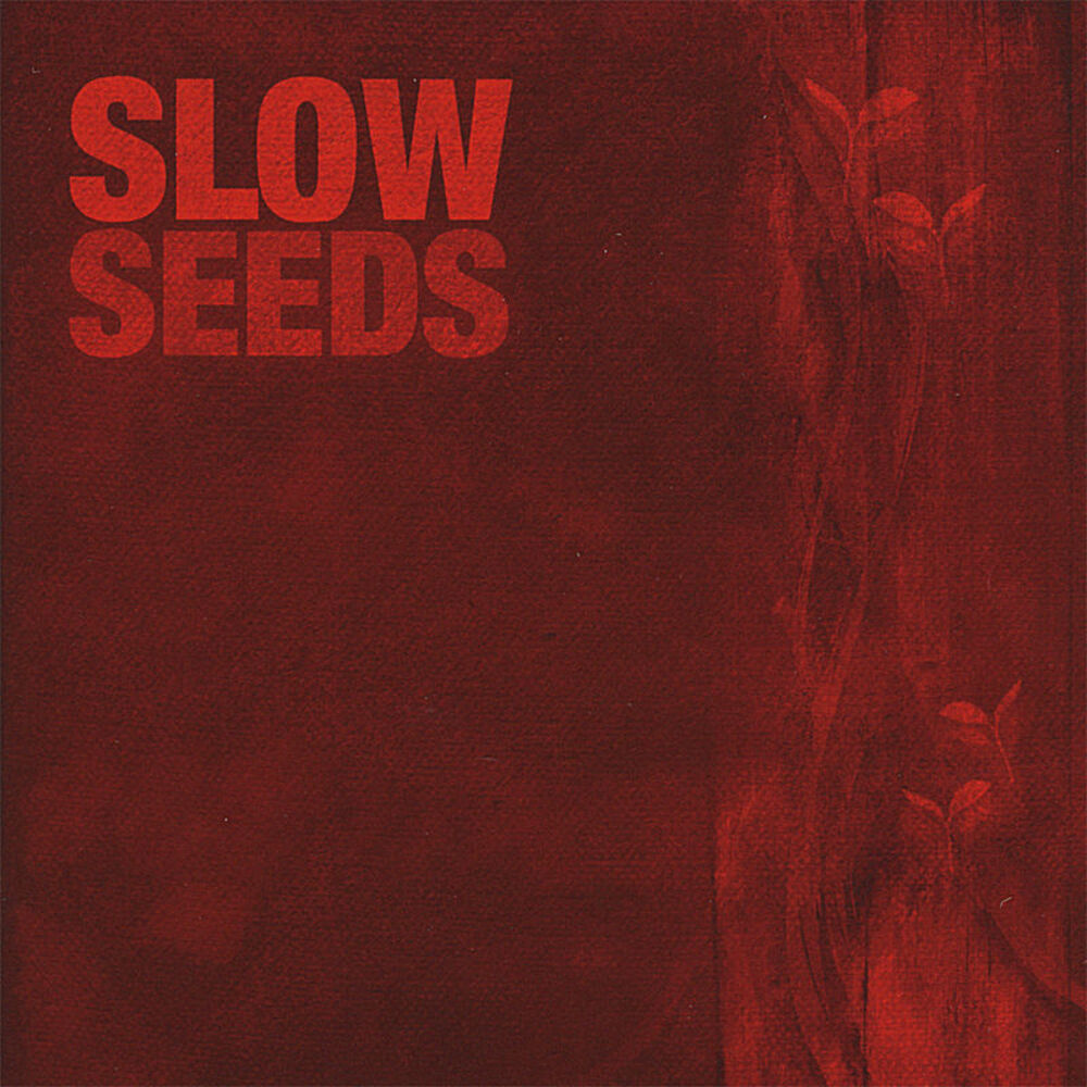 Picture of Seeds