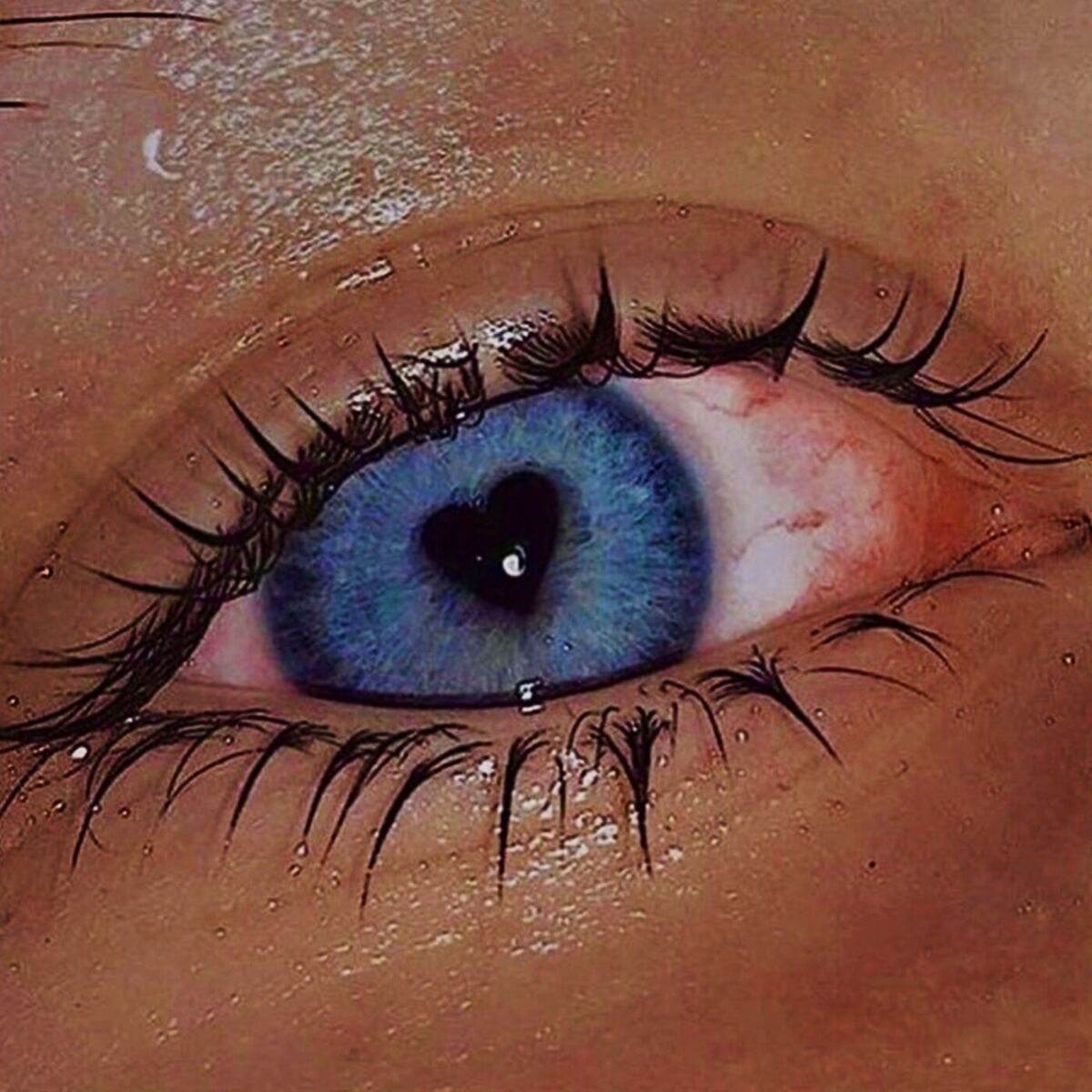 Album cover of Blaue Augen
