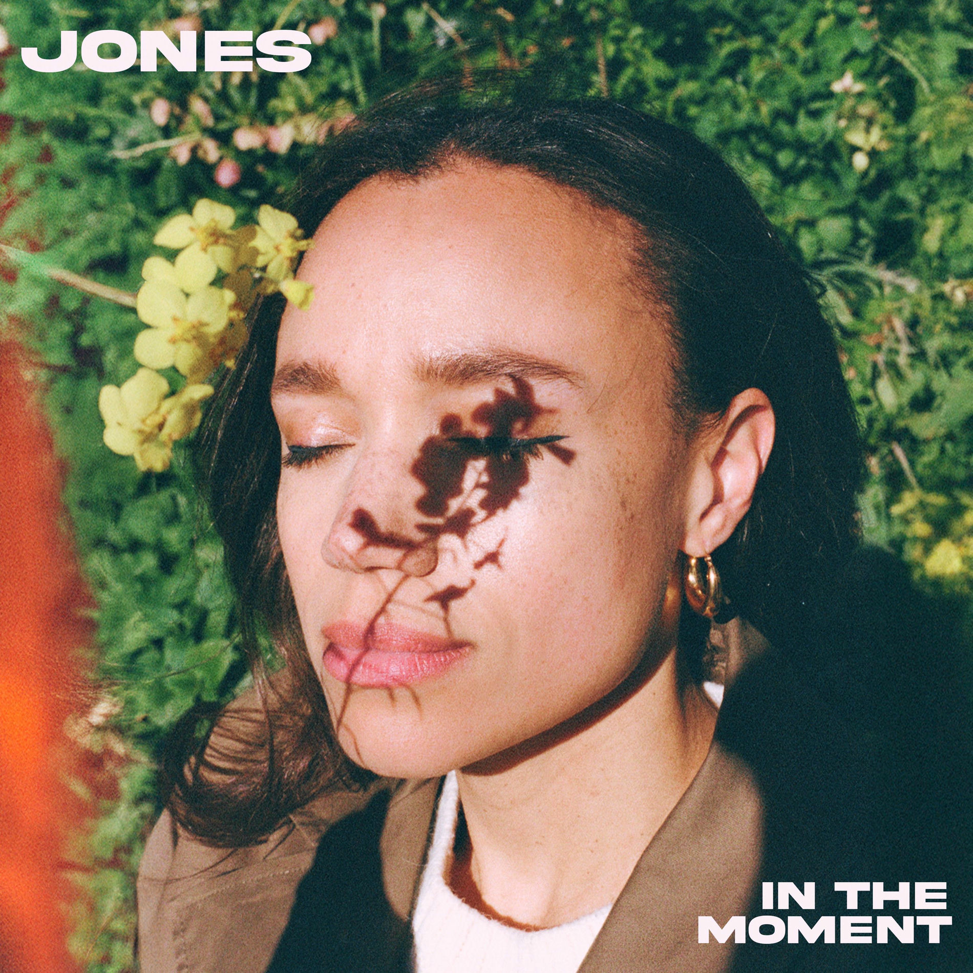 Album cover of Moonlight
