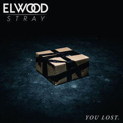Cover of You Lost