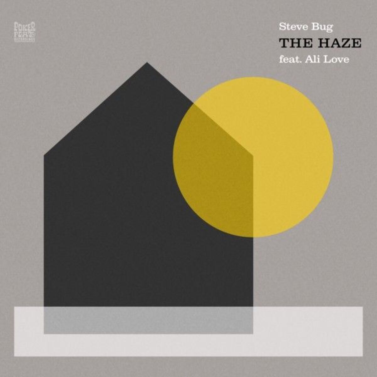 Album cover of The Haze