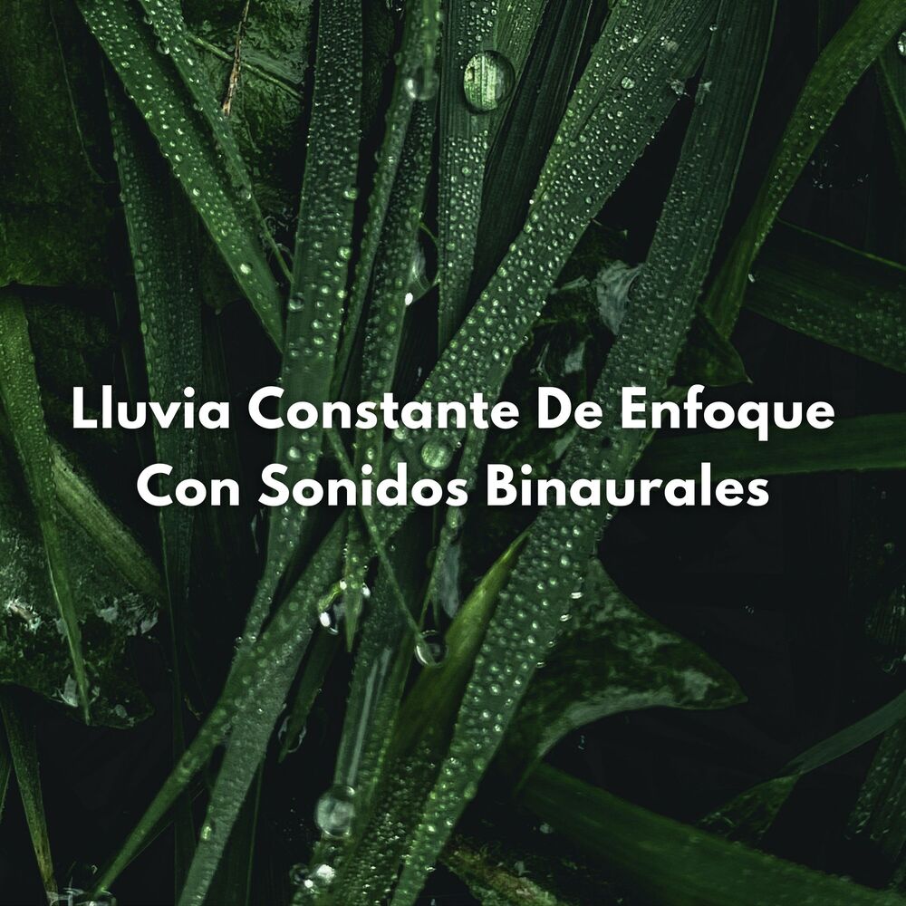 Picture of Lluvia Constante De Enfoque Con Sonidos Binaurales