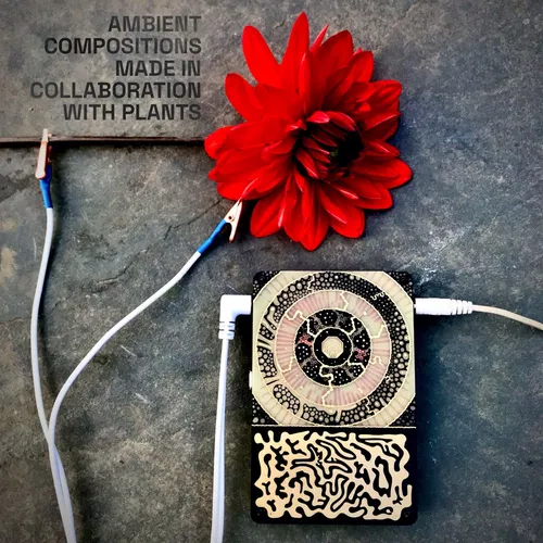 Biosonification — cover art