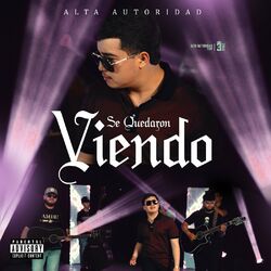 Cover of SE QUEDARON VIENDO