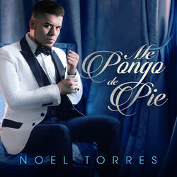 Cover of Me Pongo de Pie