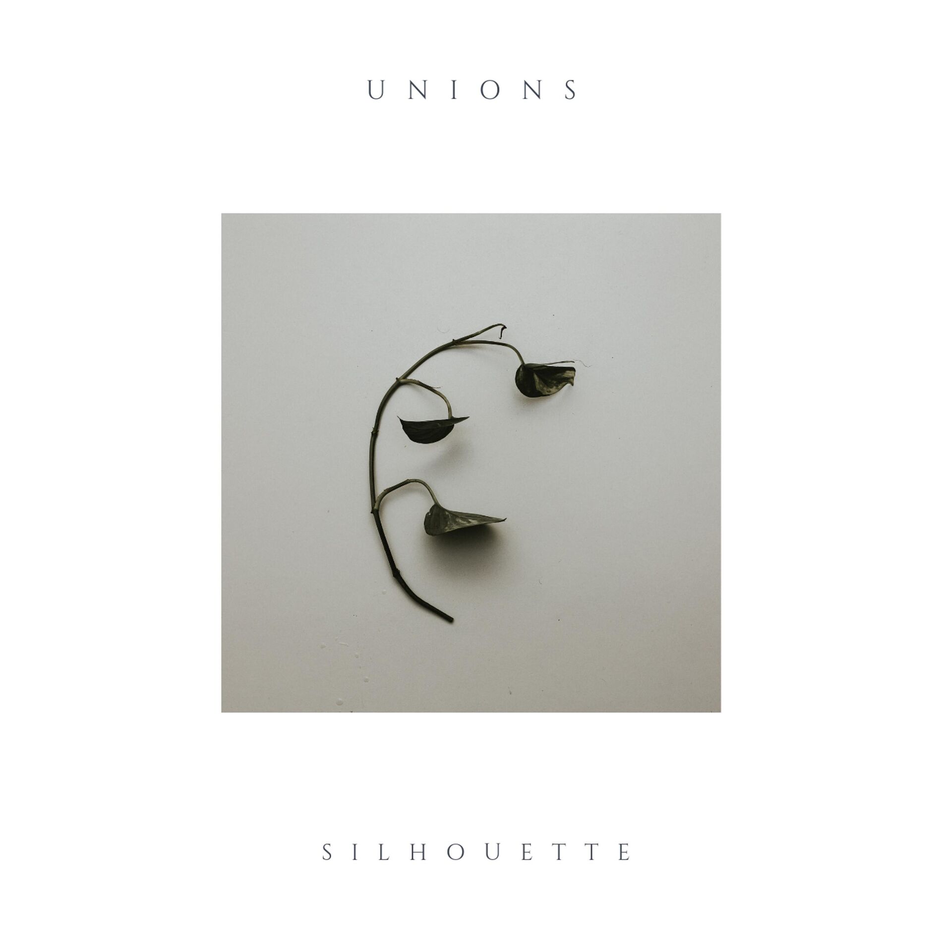 Album cover of Silhouette